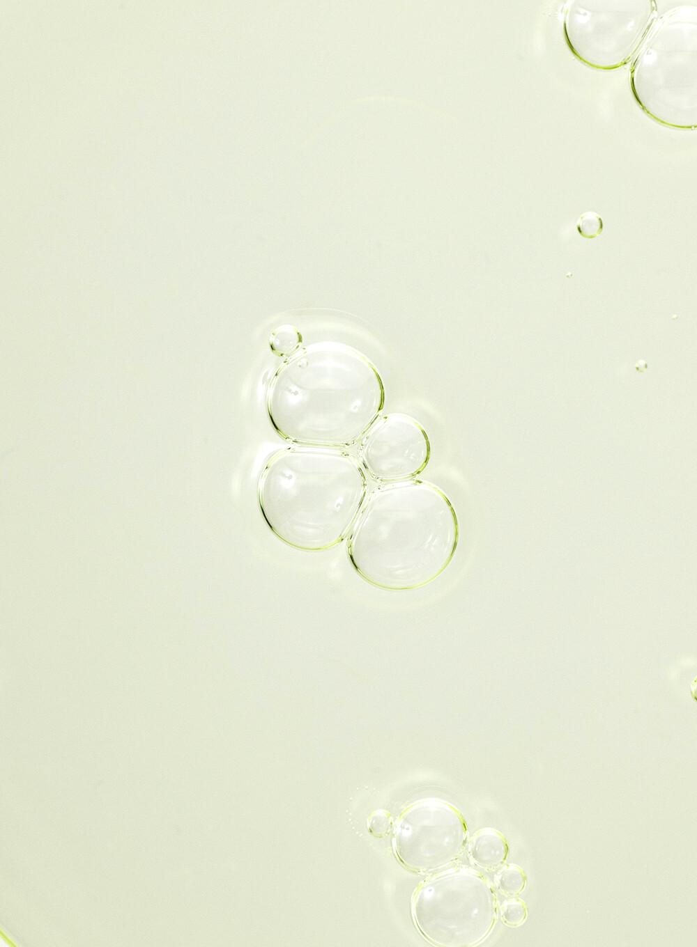 Beauty Of Joseon Calming Serum Green tea + Panthenol UAE