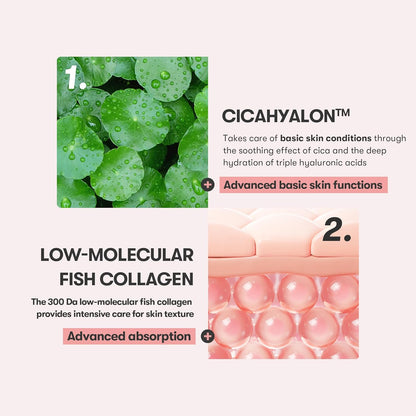 [VT COSMETICS] CICA Collagen Cream – 30ml