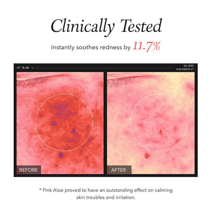 APRILSKIN Pink Aloe Facial Polish Cleanser – Gentle Exfoliating & Soothing Wash | 120ml