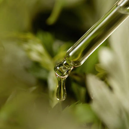 I'm from Mugwort Serum 1.01 fl.oz / 30ml