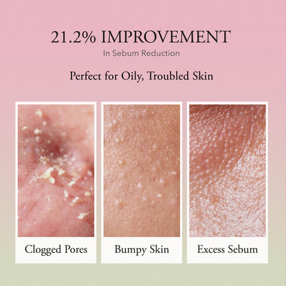 APRILSKIN Pink Aloe Vita Toner – Hydrating & Soothing Toner | 250ml