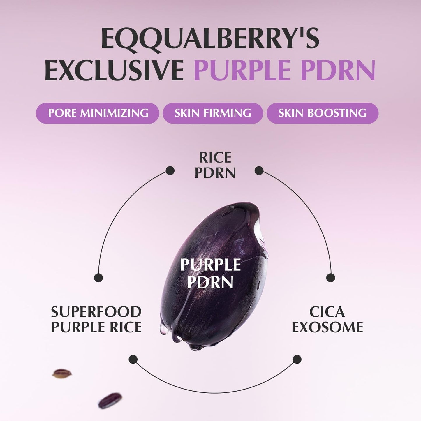 [EQQUALBERRY] Purple PDRN Pore Minimizing Serum