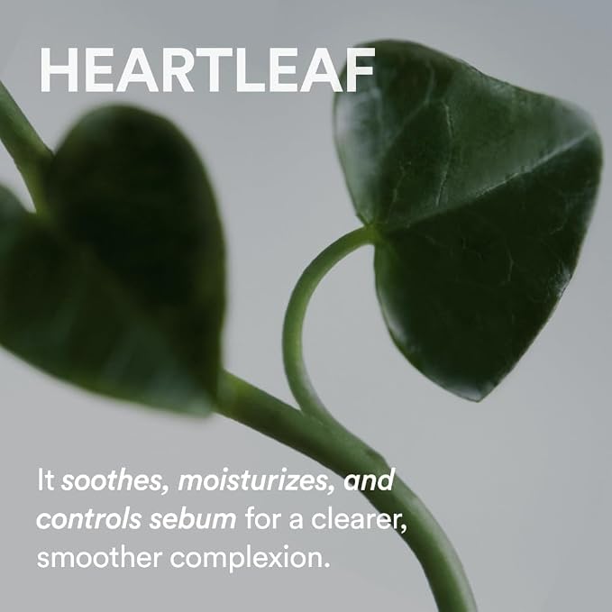 ABIB Heartleaf Crème Calming Tube (70ml)