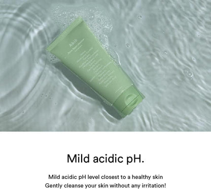 Abib Acne Foam Cleanser Heartleaf Foam