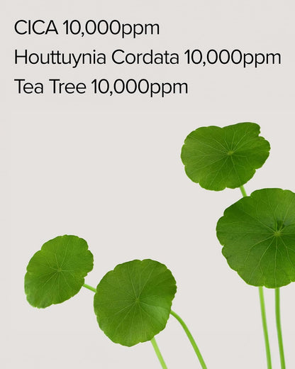 Mary&May CICA Houttuynia Tea Tree Calming Mask