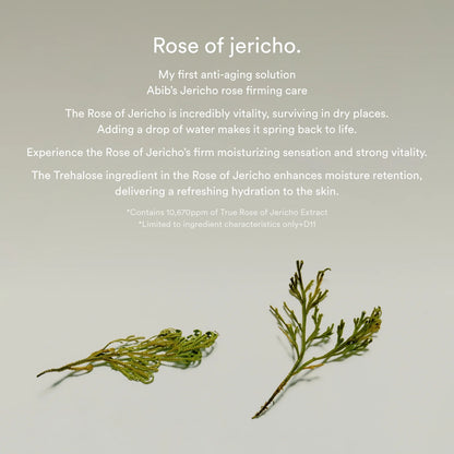 [ABIB] Jericho rose collagen pad Firming touch