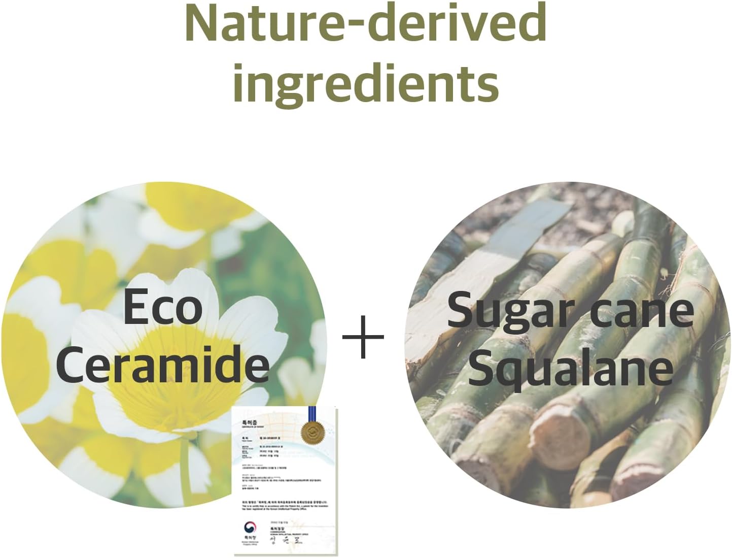 Round Lab Soybean Cleanser (150ml)