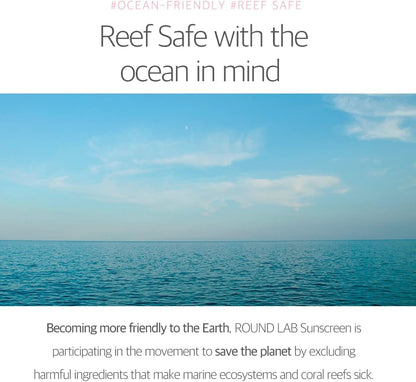 Round Lab Birch Juice Moisturizing Tone-Up Sunscreen SPF50+ / PA++++ (50ml)