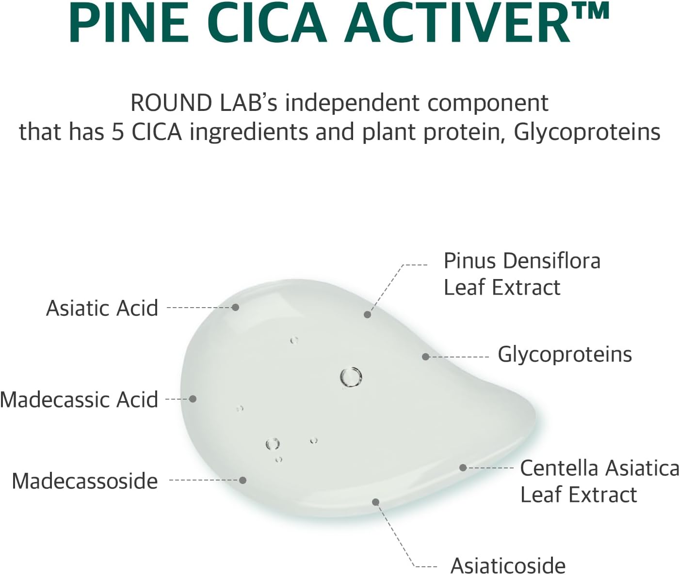 Round Lab Pine Calming Cica Mask (27ml × 10 Sheets)