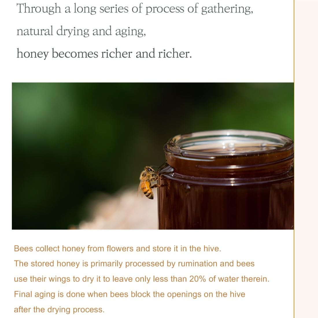 [I'm From] Honey Serum 30ml