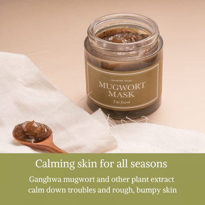 [I'M FROM] Mugwort Mask 3.88 fl oz