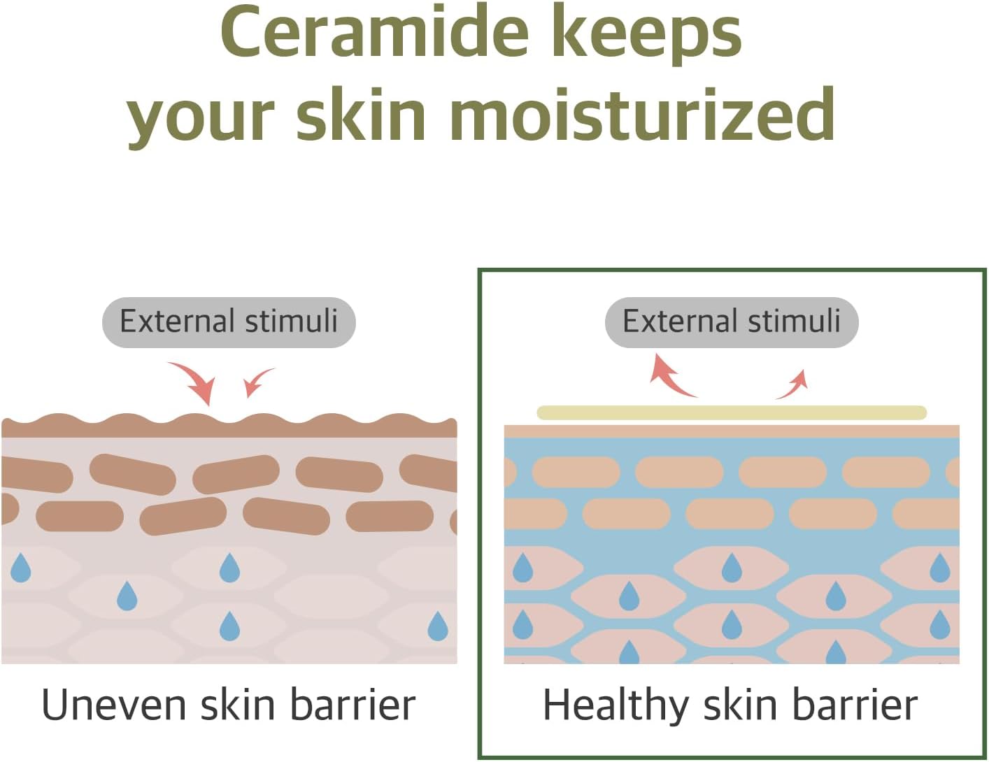 Round Lab Soybean Cleanser (150ml)