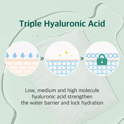 Round Lab Pine Calming Cica Mask (27ml × 10 Sheets)