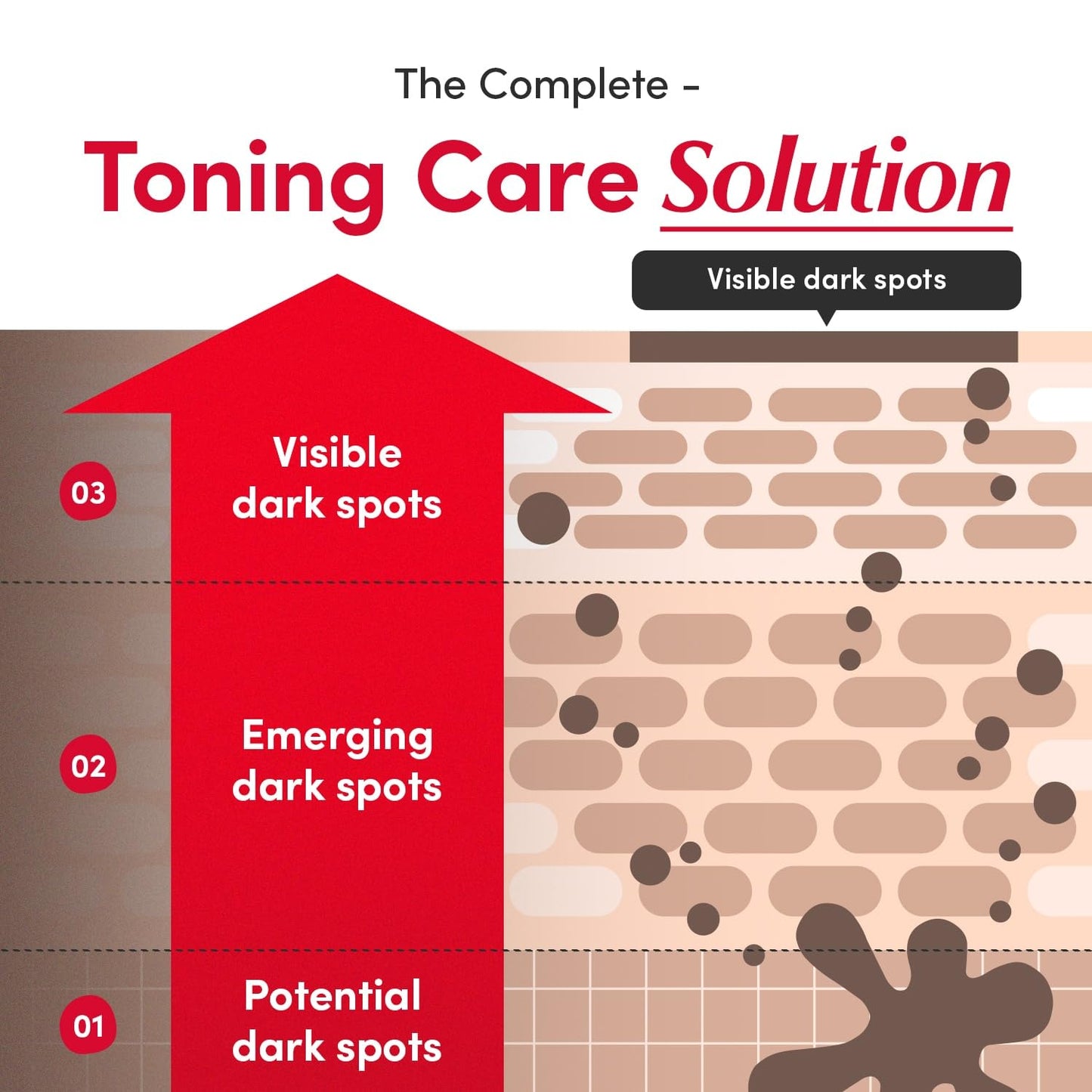 EQQUALBERRY Bakuchiol & Vitamin C Serum Set