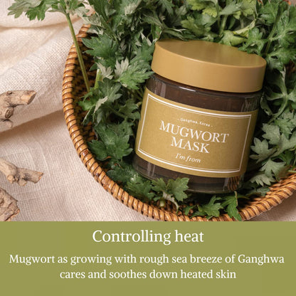 [I'M FROM] Mugwort Mask 3.88 fl oz