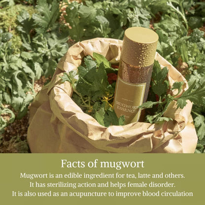 [I'm From] Miniatures of Rice Toner, Mugwort Essence, Fig Boosting Essence (Mugwort)