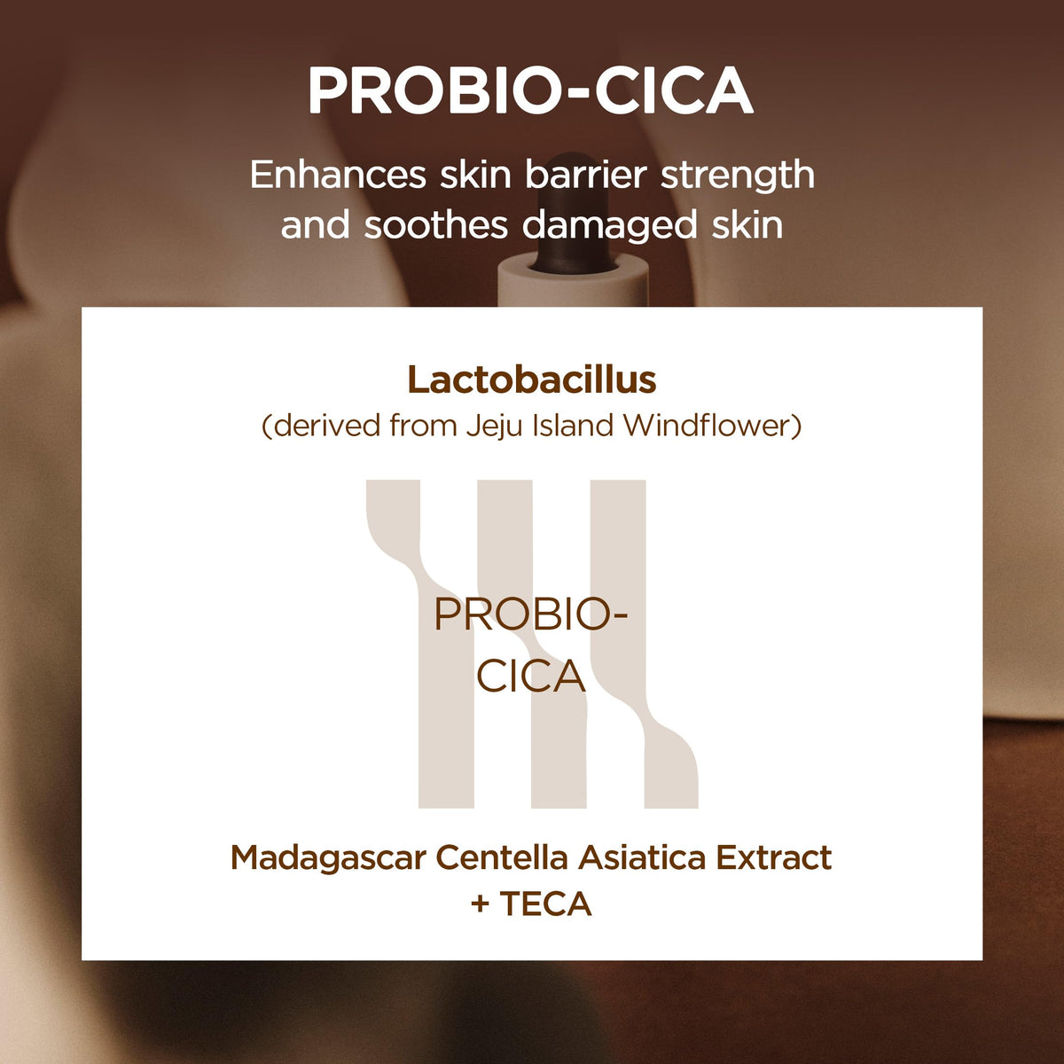 SKIN1004 Centella Madagascar Ampoule