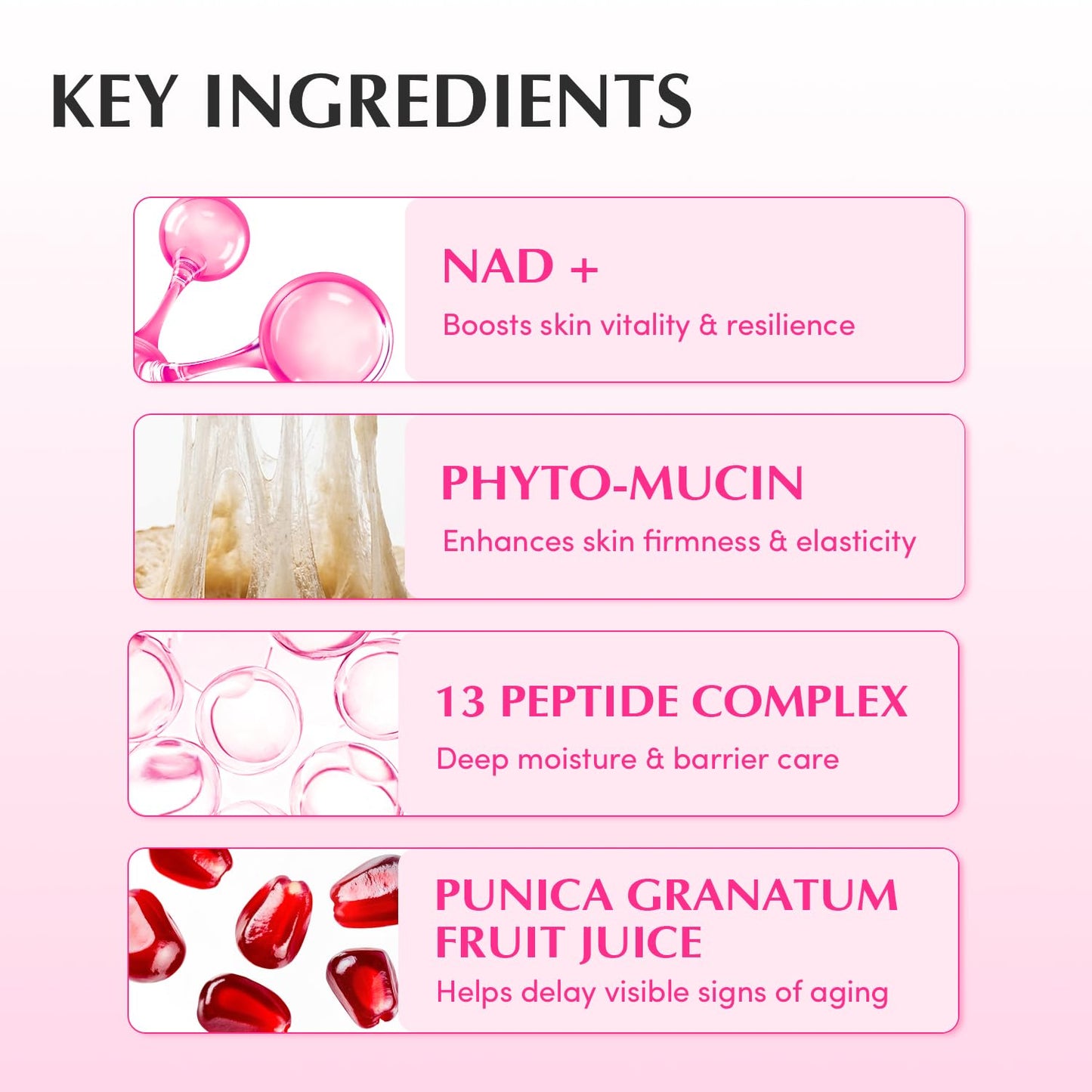 EQQUALBERRY NAD+ Peptide Boosting Cream (1.69 fl.oz / 50ml)