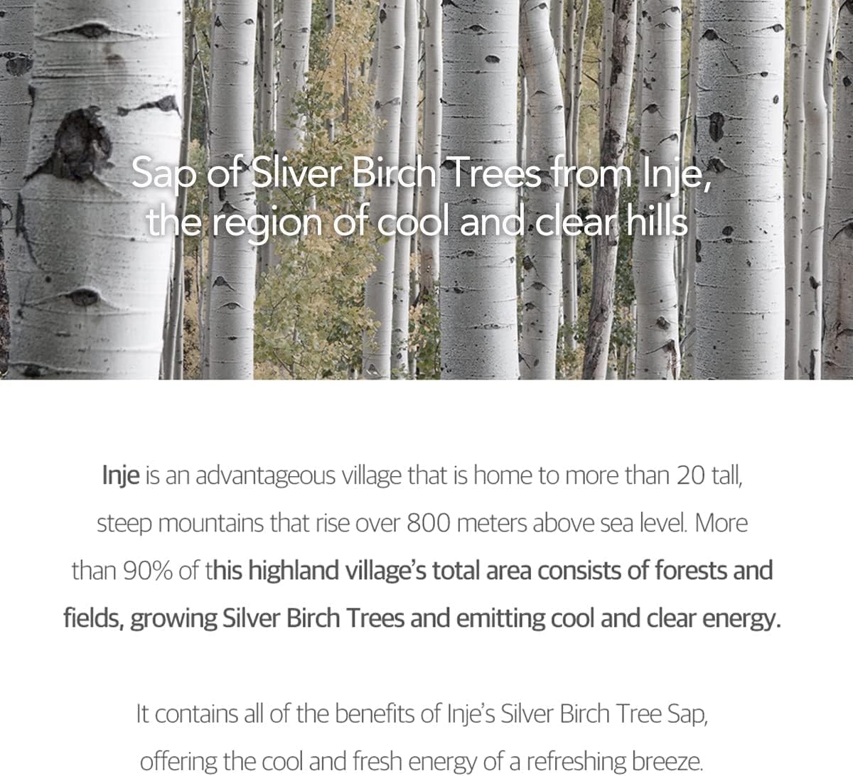 Round Lab Birch Juice Moisturizing Tone-Up Sunscreen SPF50+ / PA++++ (50ml)