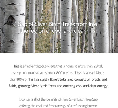 Round Lab Birch Juice Moisturizing Tone-Up Sunscreen SPF50+ / PA++++ (50ml)