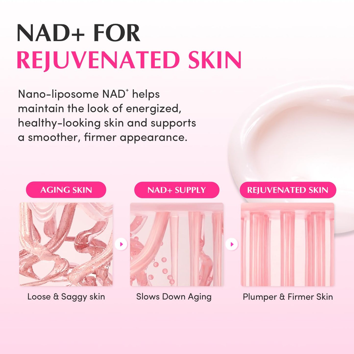 EQQUALBERRY NAD+ Peptide Boosting Cream (1.69 fl.oz / 50ml)
