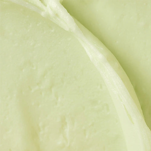 [Beauty of Joseon] Matte sun stick : Mugwort + Camilia 18g