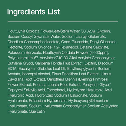 [ANUA] Heartleaf BHA Quercetinol Pore Deep Cleansing Foam 150ml