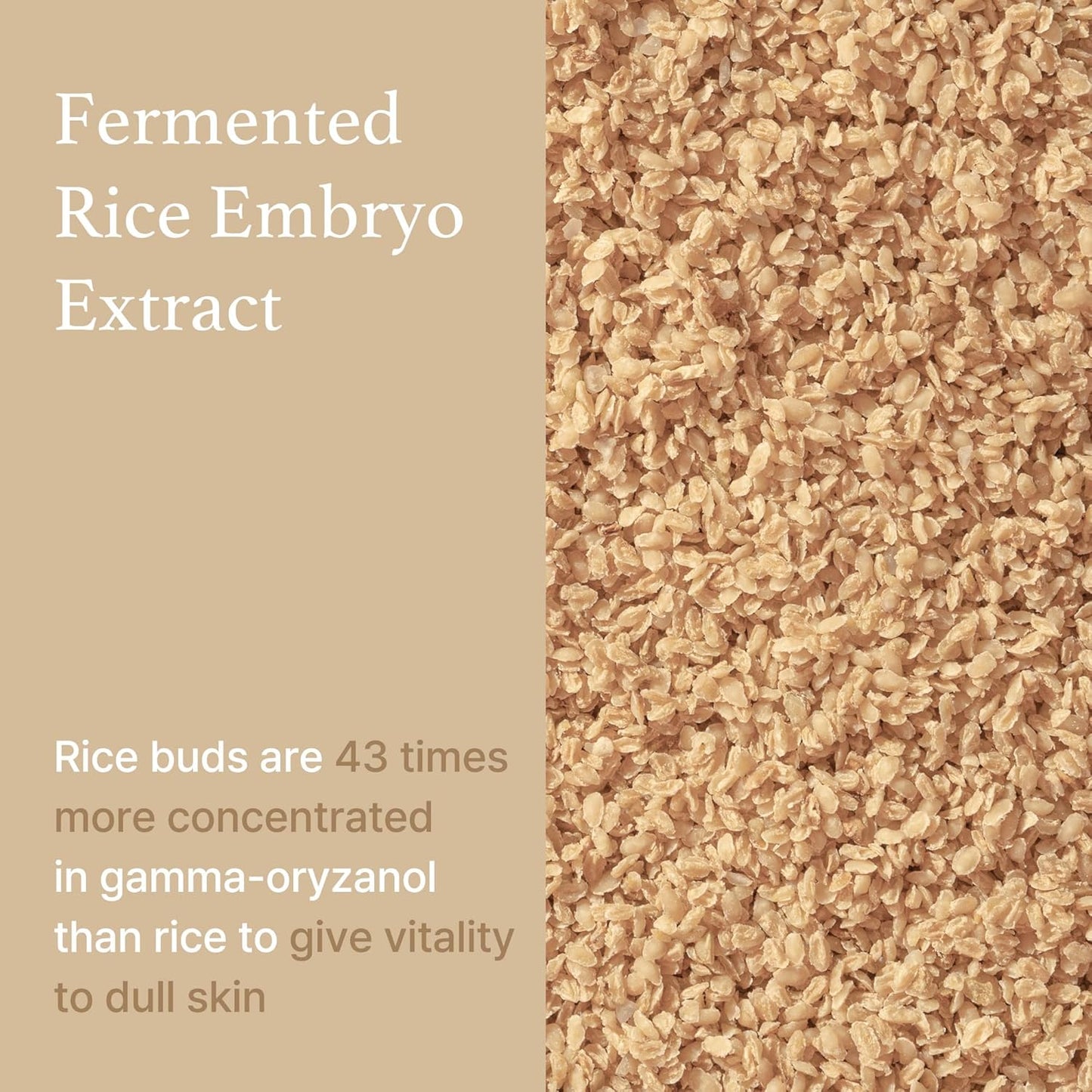 [I’m From] Rice Toner – Brighten, Hydrate &; Nourish 🍚✨ | 150ml