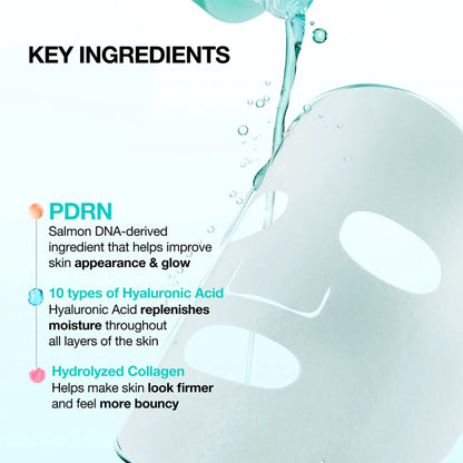 Anua PDRN Hyaluron Capsule 100 Serum Mask (23ml × 1 Sheet)