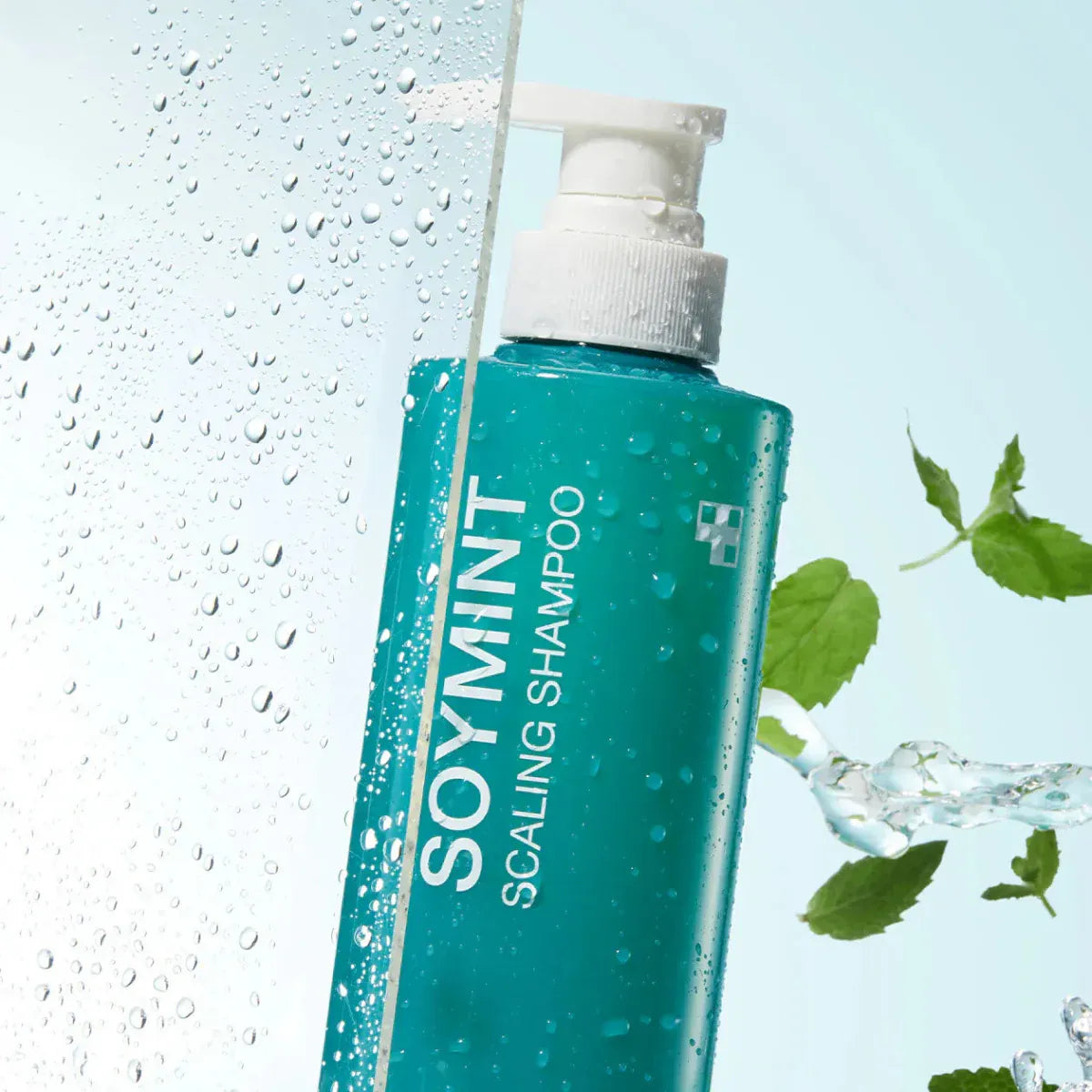 MEDICUBE - Soymint Scaling Shampoo – Refreshing Scalp Hair Care  UAE