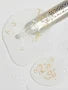 Sungboon Editor Silk Peptide EGF Heartfit Volume Lifting Ampoule 40ml