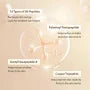 Sungboon Editor Silk Peptide EGF Heartfit Volume Lifting Ampoule 40ml